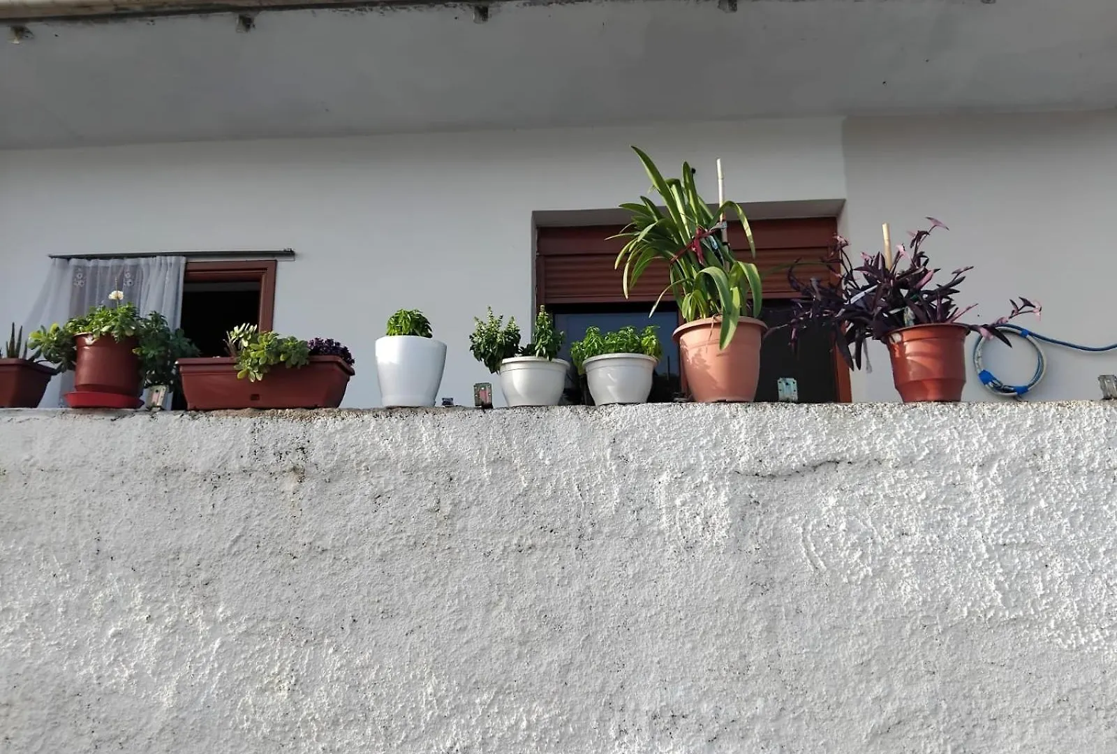 Vakantiehuis Casa Di Alex Villa Vlorë Albanië